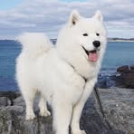 Profile Picture of David Reed (@David-Reed) on Facebook