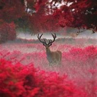 Profile Picture of Lori Triggs (@lori-triggs) on Quora