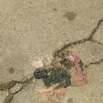 Profile Picture of Colin Menzel (@colin.menzel.3) on Facebook