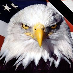 Profile Picture of Robert Fulmer (@robert.fulmer2) on Tiktok