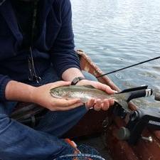 Profile Picture of Joe Jolley (@UnionRiver_Joe) on Twitter