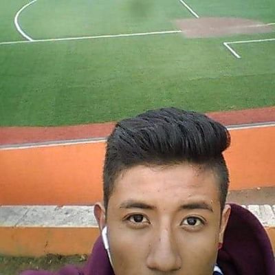 Profile Picture of Braulio Leonardo (@Brau15leo) on Twitter