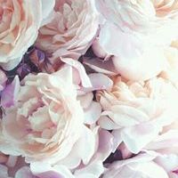 Profile Picture of EunHye Choi (@ehsstyle) on Pinterest