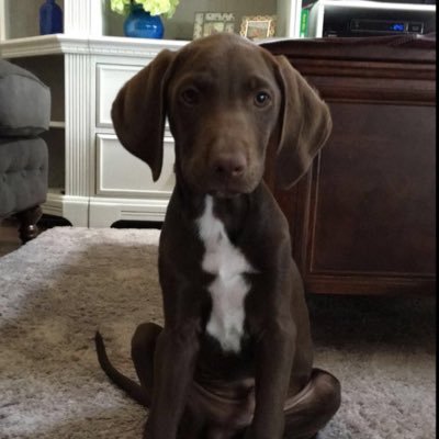 Profile Picture of Grady Wap Finch (@grady_wap) on Twitter