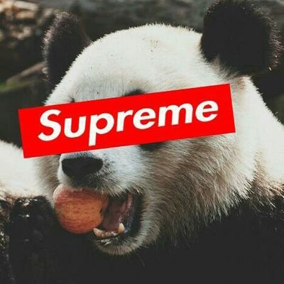 Profile Picture of Alejandro Reynoso (@GALEXREGO) on Twitter