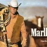 Jose Aldape - Instagram Profile Picture of Jose Aldape (@pepealdape76) on Instagram