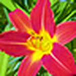 Profile Picture of Ecphotography64 (@ecphotography64) on Flickr