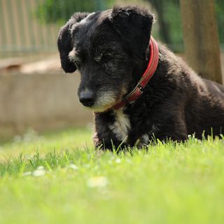 Profile Picture of Rita Zerbone (@rita.zerbone.9) on Facebook