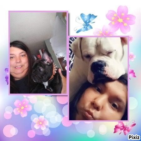 Profile Picture of Samantha Sansone (@samantha.sansone1) on Tiktok