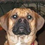 Profile Picture of Cooper Larson (@cooper.larson.393) on Facebook