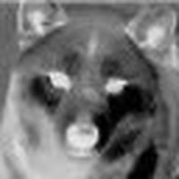 Profile Picture of Evan Daar (@evan-daar-2) on Quora