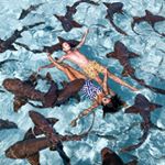 Profile Picture of • Estel & Marc • Travel Couple (@elmonalama) on Instagram