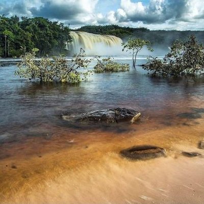 Profile Picture of Oscar Llanes (@OscarDllanesG) on Twitter