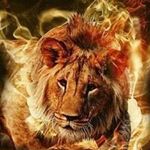 Profile Picture of Kenneth Hughes (@kennethhughes500) on Instagram