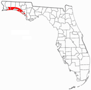 Profile Picture of Emerald Coast - Wikipediaon Wikipedia