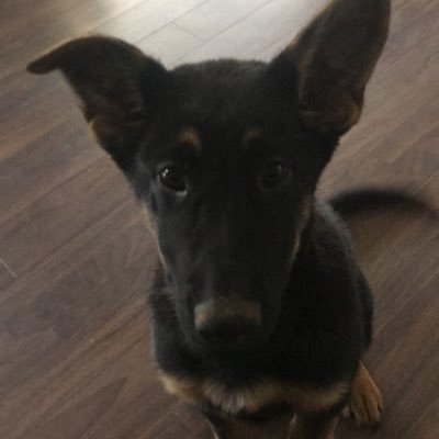 Profile Picture of Jonathan Bannister (@jon_bannister) on Twitter