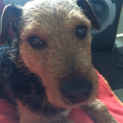 Profile Picture of Sylvia M MacLeod (@SylviaMacLeod3) on Twitter