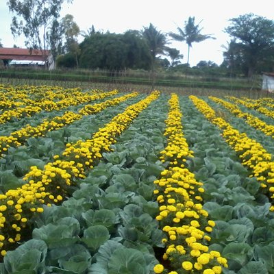 Vivekmanoharan - Twitter Profile Picture of Vivekmanoharan (@vivekmanoharan5) on Twitter