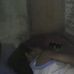 Profile Picture of Marcie Ramirez (@marcie.ramirez.3760) on Facebook