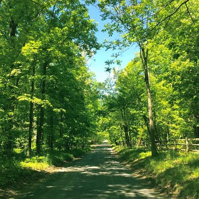 Profile Picture of Nancy Mark (@nancymark) on Twitter