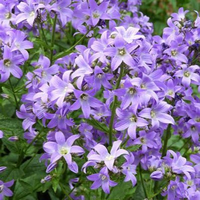 Profile Picture of Ferhat Aktüre (@AktureFerhat1) on Twitter