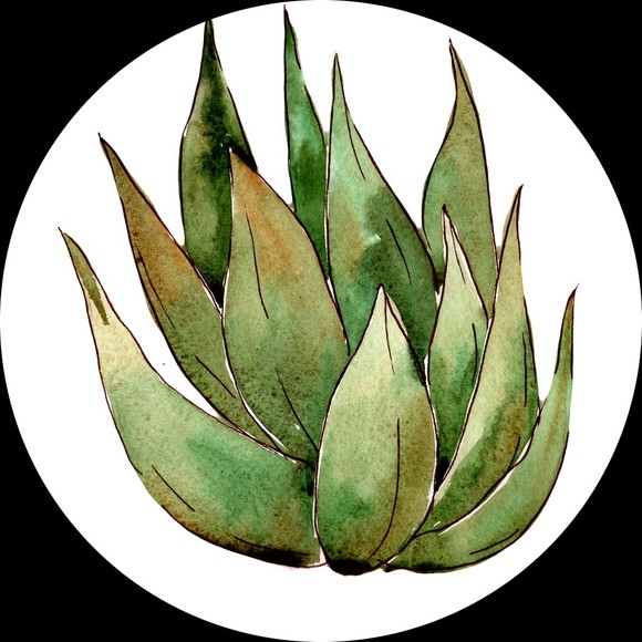 Profile Picture of Amanda Kloubec (@curate_life) on Poshmark