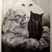 Profile Picture of Colinmcroberts (@colinmcroberts412) on Pinterest