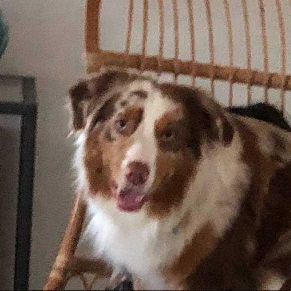 Profile Picture of Emma Staniec (@emmastaniec) on Poshmark