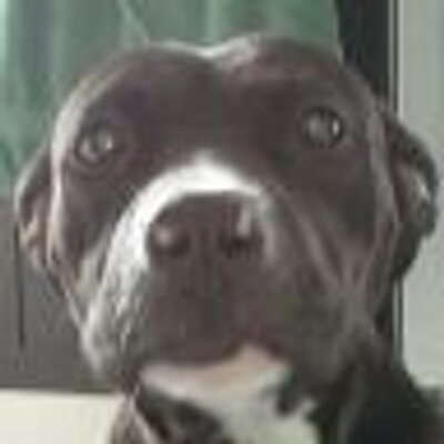 Profile Picture of Allen Holloway (@cuzzo60) on Twitter