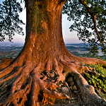 Profile Picture of Jeong Woo Nam (@bohem67) on Flickr