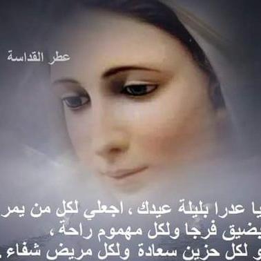 Profile Picture of Edward Hajj (@HajjEdward) on Twitter