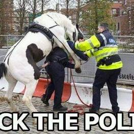 Profile Picture of Aaron Dann (@AzaBomb) on Twitter