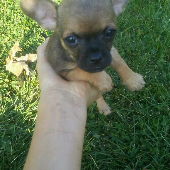 Profile Picture of Alicia Lara (@aliciaelara) on Poshmark