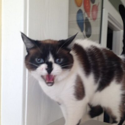 Profile Picture of Jesse Proebstel (@jproebstel) on Twitter