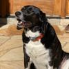 Profile Picture of decromer (@@decromer) on Tiktok
