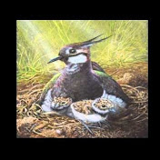 Profile Picture of Mike Bryant (@mikebryant2420) on Youtube