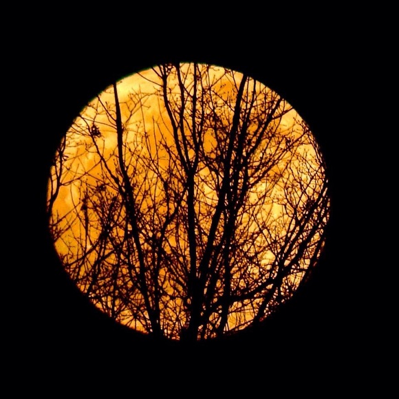 Profile Picture of Jazzy Jones (@jazzyjones15) on Poshmark