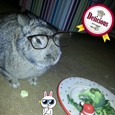 Profile Picture of Nick Wan (@NMWan) on Twitter