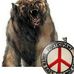 Profile Picture of Aaron Bear Kurtzman (A Aaron Bear Kurtzman) (@A.Aaron.Bear.Kurtzman) on Facebook