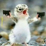 Profile Picture of Walter Sandoval (@waltersandoval2) on Instagram