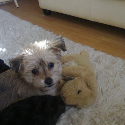 Profile Picture of Janet Woolley (@J4netw00lley) on Twitter