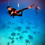 Profile Picture of Hank (@hank_huang0728) on Instagram