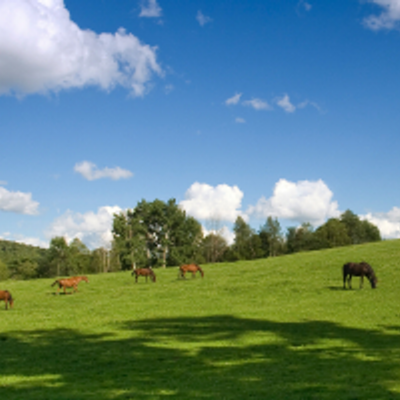 Profile Picture of Zachary Pinto (@pintozach86) on Twitter