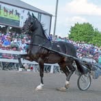 Profile Picture of Robert Miller (@Robert-Miller) on Facebook