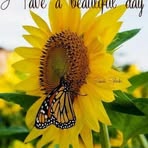 Steven Stockman - Facebook Profile Picture of Steven Stockman (@Steven-Stockman) on Facebook