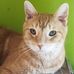 Profile Picture of Lisa Spivey (@lisa.spivey66) on Facebook