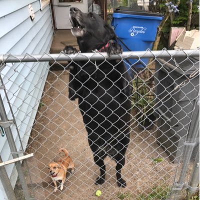 Profile Picture of Zhiming Chen (@timchen0908) on Twitter