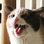 Profile Picture of Nancy Mew (@nancy_mew) on Instagram