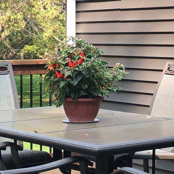 Profile Picture of Shannon Kruckeberg (@smkruckeberg) on Poshmark