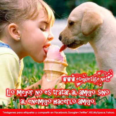 Profile Picture of Alessa Campos Freire (@FreireAlessa) on Twitter